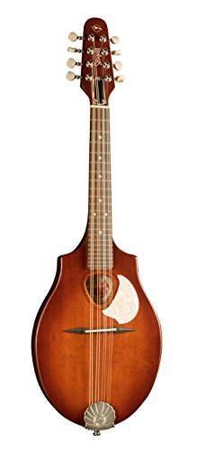 4 フラットマンドリン プチ改造♪ Epiphone MM-40L